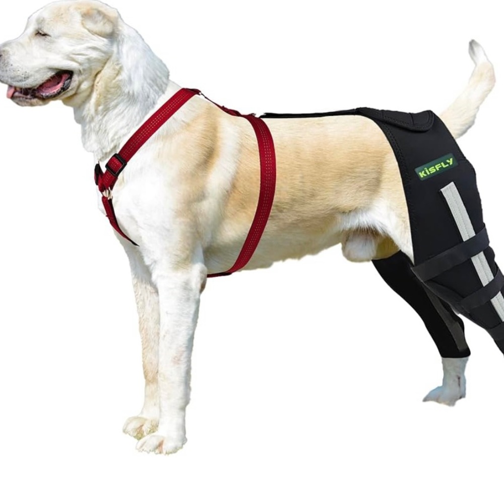 Red and Black Dog Support Harness